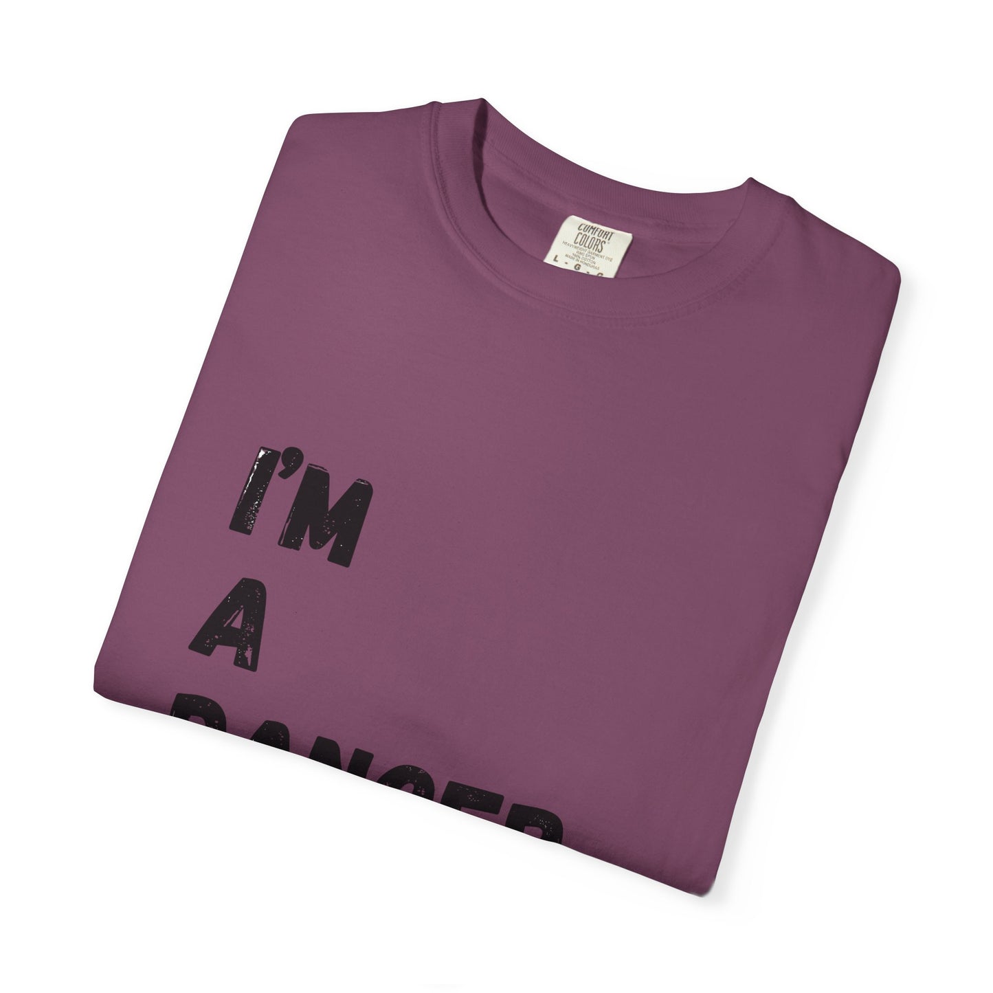 I'm A Dancer T-Shirt — 'Of Course My Parents Don't Have Any Money' Humor Tee